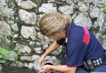 Sversamento fognario illecito nel Rio Fresco a Formia