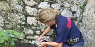 Si rompe il collettore di Acqualatina, reflui fognari nel Rio Fresco