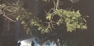 Esplode una bomboletta spray di vernice e torna la paura ai palazzi Arlecchino