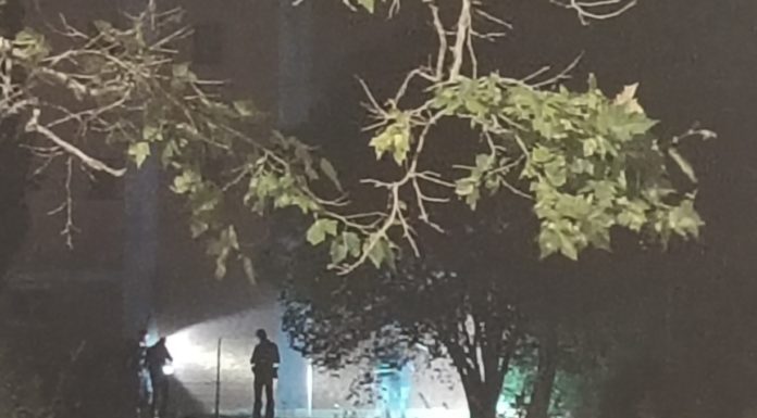 Esplode una bomboletta spray di vernice e torna la paura ai palazzi Arlecchino