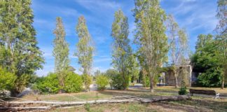 Latina, denuncia di Quartieri Connessi: “Degrado al parco Farroupilha”