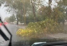 Bomba d’acqua su Latina, danni e strade allagate