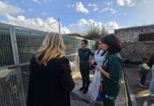 Porte aperte al canile di Terracina: nuovi spazi e storie di adozione
