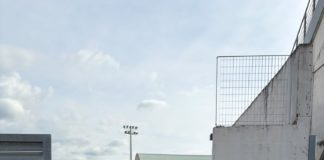 stadio bartolani