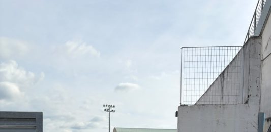 stadio bartolani
