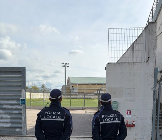 stadio bartolani